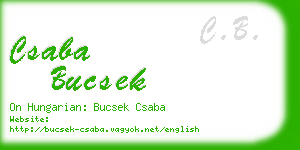 csaba bucsek business card